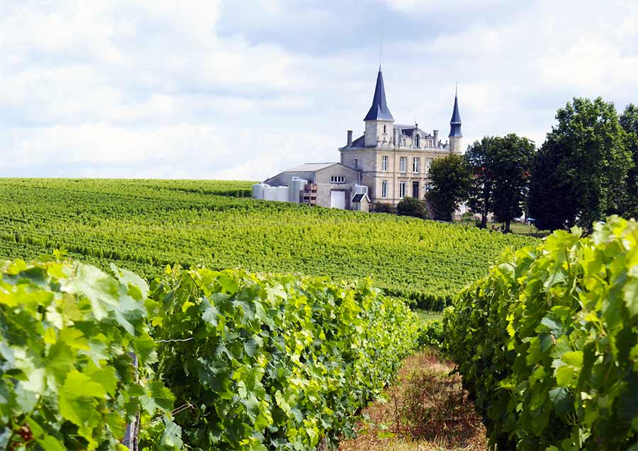 wineries in tours france